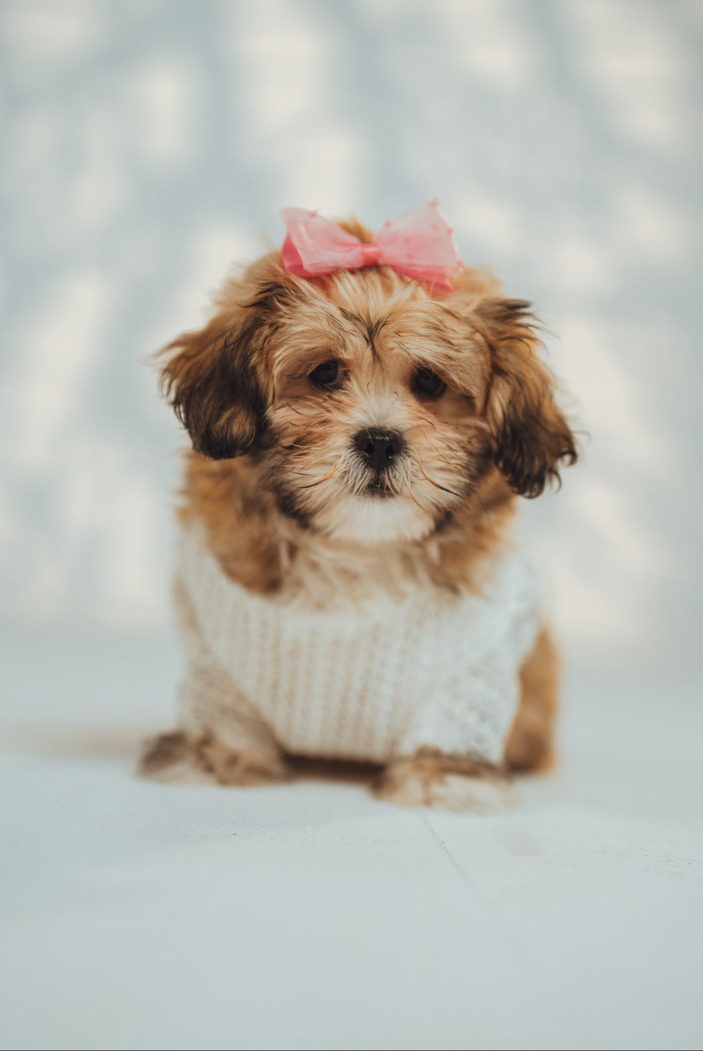Puppy Matchy Dress