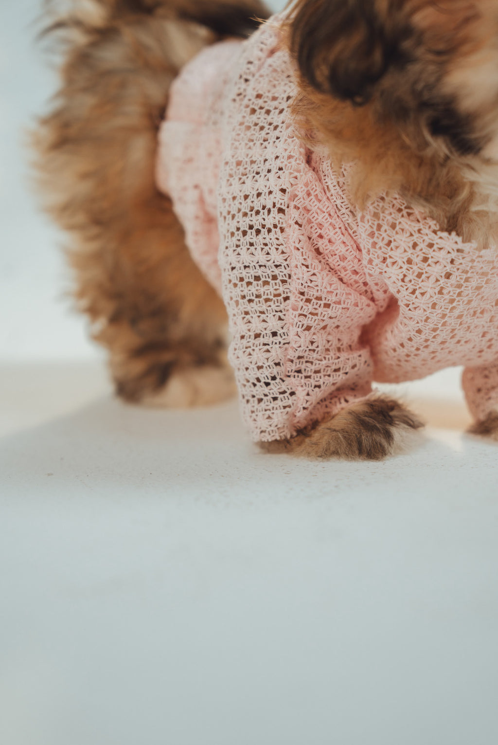 Puppy Matchy Dress
