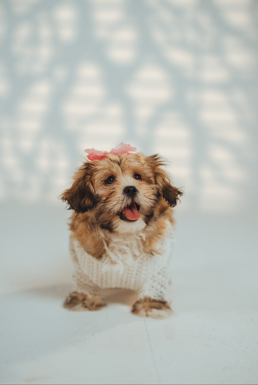 Puppy Matchy Dress