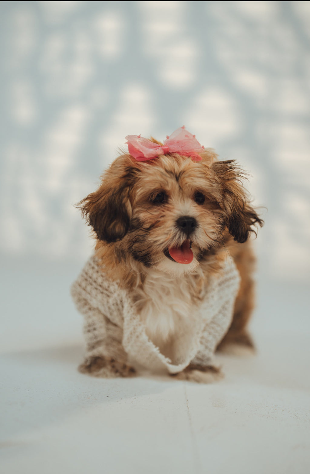 Puppy Matchy Dress