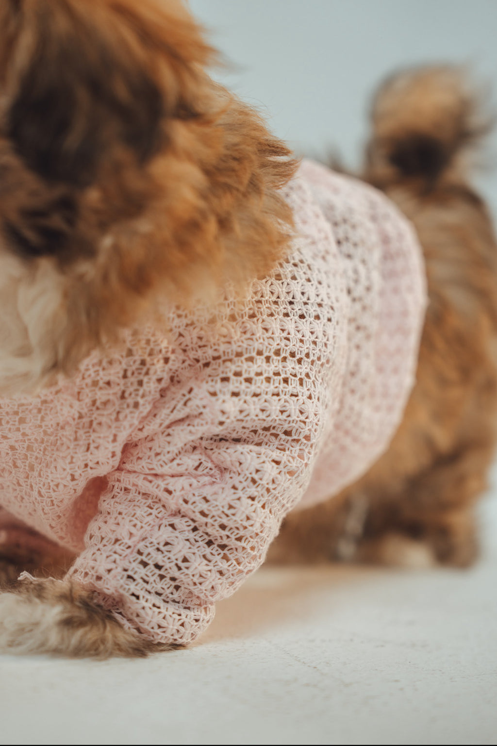 Puppy Matchy Dress
